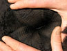 Cria Fiber 1