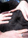 Cria Fiber 4